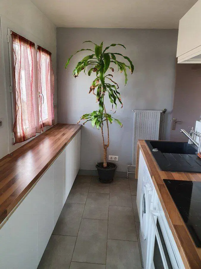 Appartement 2 pièces · 40 m², Montpellier · Alco, photo 10