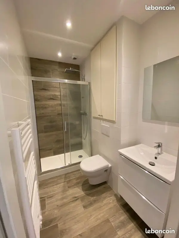 Appartement 1 pièce · 21 m², Villeurbanne, photo 3