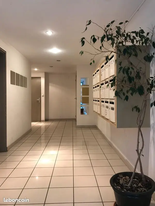 Appartement 3 pièces · 60 m², Marseille 8e, photo 3