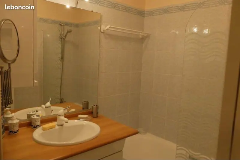 Appartement 2 pièces · 53 m², Lyon 4e, photo 3
