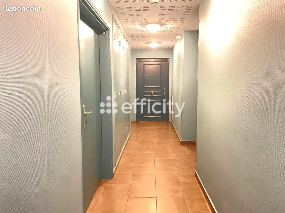 Appartement 2 pièces · 43 m², Villeurbanne, photo 8