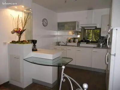 Appartement 2 pièces · 55 m², Lyon 5e, photo 2
