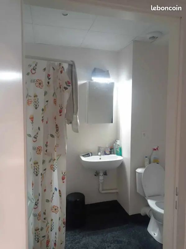 Appartement 1 pièce · 19 m², Strasbourg, photo 5