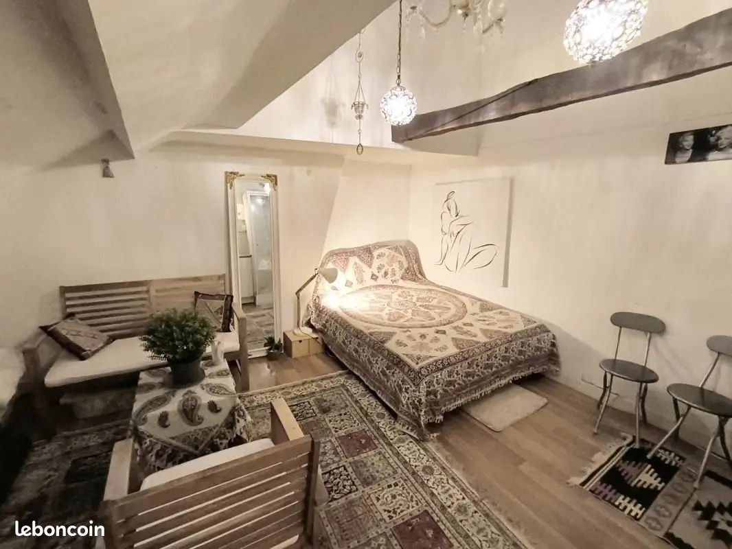 Appartement 1 pièce · 20 m², Paris 15e, photo 2