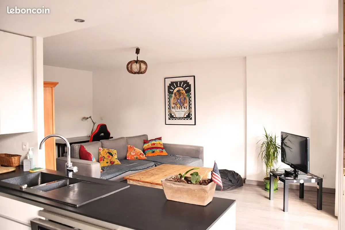 Appartement 2 pièces · 50 m², Toulouse, photo 4