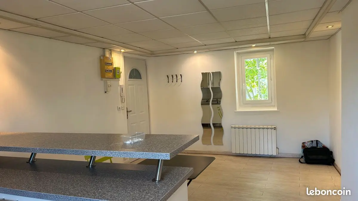 Appartement 3 pièces · 55 m², Lyon 5e, photo 3