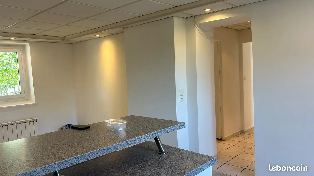 Appartement 3 pièces · 55 m², Lyon 5e, photo 4