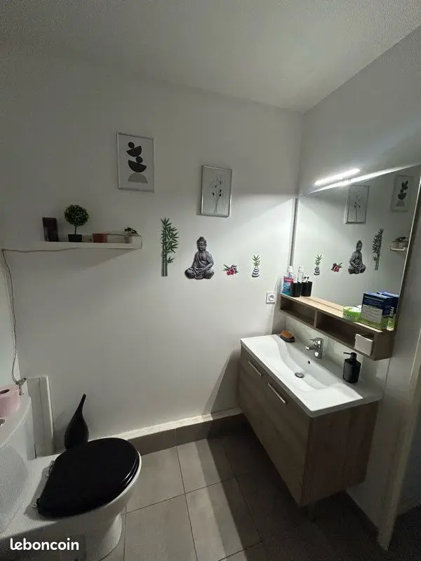 Appartement 2 pièces · 52 m², Lyon 8e, photo 3