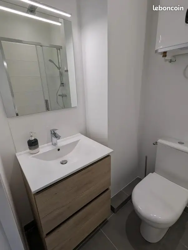Appartement 2 pièces · 26 m², Lyon 3e, photo 3