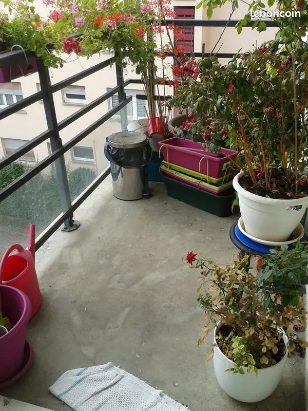 Appartement 3 pièces · 66 m², Strasbourg, photo 6